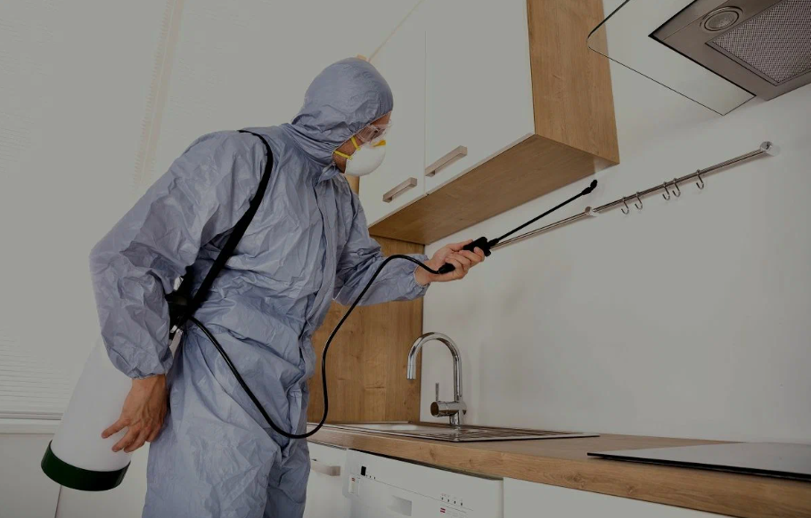 Lathrop pest managment